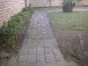 Haver 045.jpg